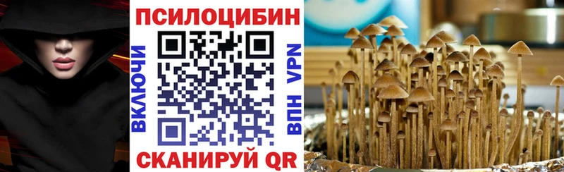 Псилоцибиновые грибы GOLDEN TEACHER  купить   Берёзовка 